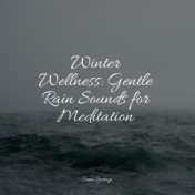 Winter Wellness: Gentle Rain Sounds for Meditation