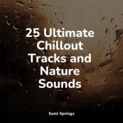 25 Ultimate Chillout Tracks and Nature Sounds
