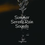 Summer Serene Rain Sounds