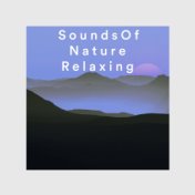 Sounds Of Nature: Relaxing