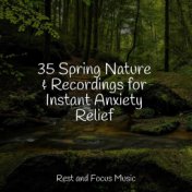 35 Spring Nature & Recordings for Instant Anxiety Relief