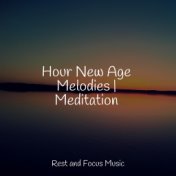 Hour New Age Melodies | Meditation
