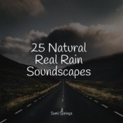 25 Natural Real Rain Soundscapes