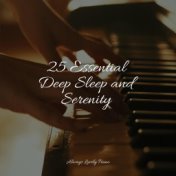 25 Essential Deep Sleep and Serenity