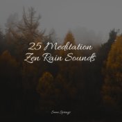 25 Meditation Zen Rain Sounds