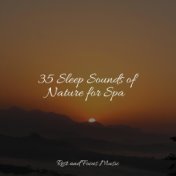 35 Sleep Sounds of Nature for Spa