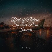 Best of Nature: Summer Rain Sounds