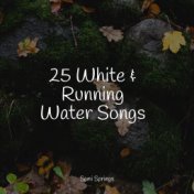 25 White & Running Water Songs