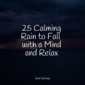 25 Calming Rain to Fall  with a Mind and Relax