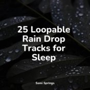 25 Loopable Rain Drop Tracks for Sleep