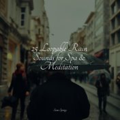 25 Loopable Rain Sounds for Spa & Meditation