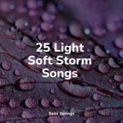 25 Light Soft Storm Songs