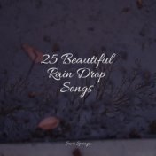 25 Beautiful Rain Drop Songs