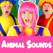 Animal Sounds