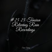 #25 25 Tension Relieving Rain Recordings