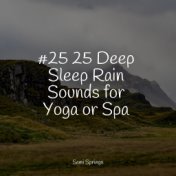 #25 25 Deep Sleep Rain Sounds for Yoga or Spa