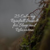 25 Loopable Rain Sounds for Deep Sleep