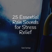 25 Essential Rain Sounds for Stress Relief