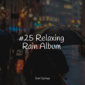 #25 Relaxing Rain Album