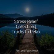 Stress Relief Collection | Tracks to Relax