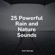 25 Powerful Rain and Nature Sounds