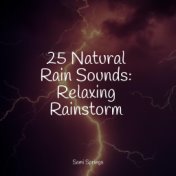 25 Natural Rain Sounds: Relaxing Rainstorm