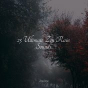 25 Ultimate Zen Rain Sounds
