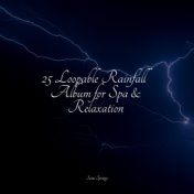 25 Loopable Rainfall Album for Spa & Relaxation