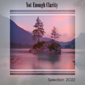 NOT ENOUGH CLARITY SELECTION 2022