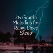 25 Gentle Melodies for Rainy Deep Sleep