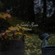 25 Gentle Rain Sounds