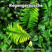 #01 Regengeräusche zur Beruhigung, zum Einschlafen und für Motivation