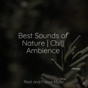 Best Sounds of Nature | Chill Ambience