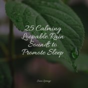 25 Calming Loopable Rain Sounds to Promote Sleep