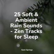 25 Soft & Ambient Rain Sounds - Zen Tracks for Sleep