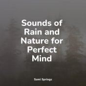 Sounds of Rain and Nature for Perfect Mind