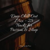 Deep Chill Out Mix - 25 Tracks for Passion & Sleep