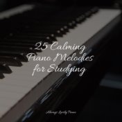 25 Calming Piano Melodies for Studying