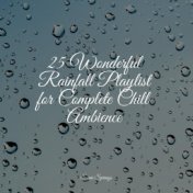25 Wonderful Rainfall Playlist for Complete Chill Ambience