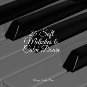 25 Soft Melodies to Calm Down