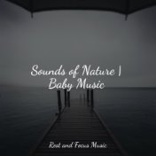 Sounds of Nature | Baby Music