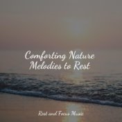 Comforting Nature Melodies to Rest