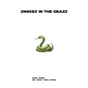 Snakes In The Grass