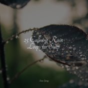 25 Calming Rain Loops for Sleep