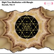 Night Time Meditation with Mangle Sounds, Vol. 4