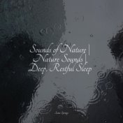 Sounds of Nature | Nature Sounds | Deep, Restful Sleep