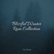 Blissful Winter Rain Collection