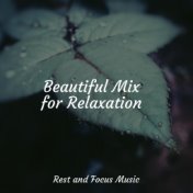 Beautiful Mix for Relaxation