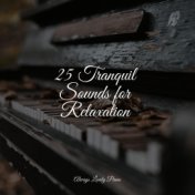 25 Tranquil Sounds for Relaxation