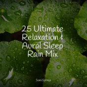 25 Ultimate Relaxation & Aural Sleep Rain Mix